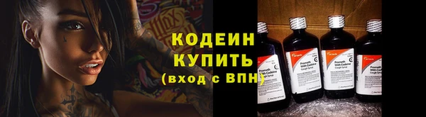 ECSTASY Богородицк