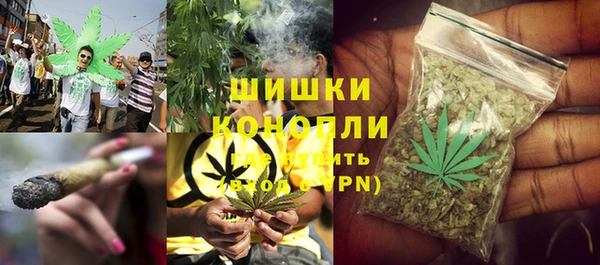 ECSTASY Богородицк