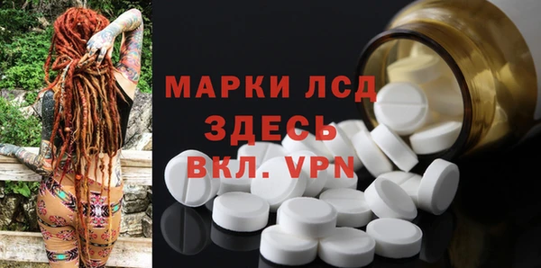 ECSTASY Богородицк