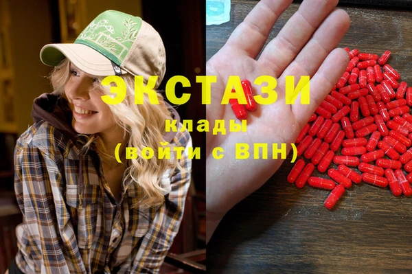 ECSTASY Богородицк