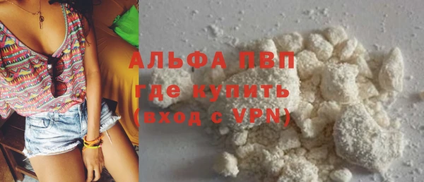 ECSTASY Богородицк