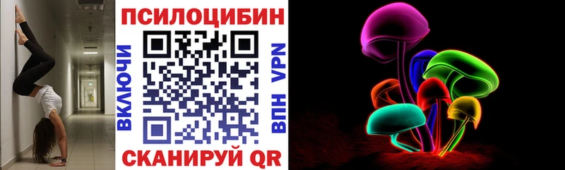 Галлюциногенные грибы Cubensis  Купить  Анжеро-Судженск 
